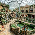 Discover Singapore's Themed Malls That Transform Shopping into an Adventure